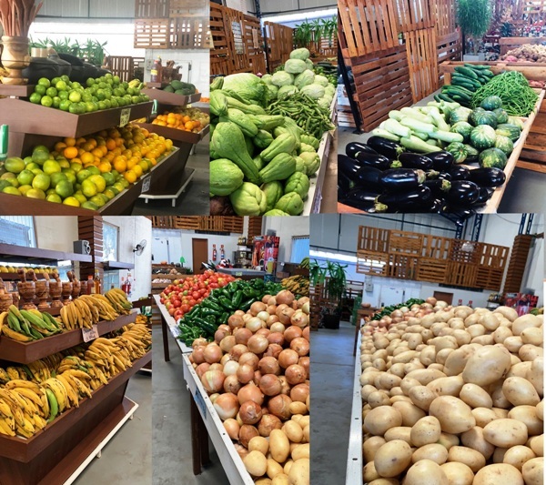 Preço de custo: Produtos direto da roça para você, linharense