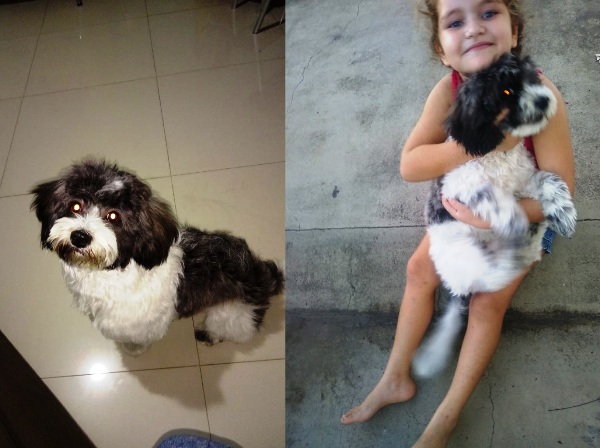 Fred foge no BNH, família diz que garotinha só chora,e pede ajuda aos leitores