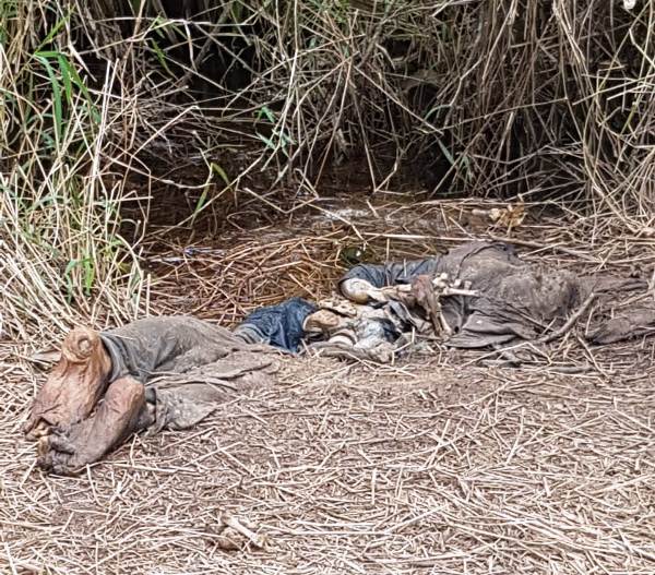 Mistério: Corpo é encontrado às margens de represa em Sooretama