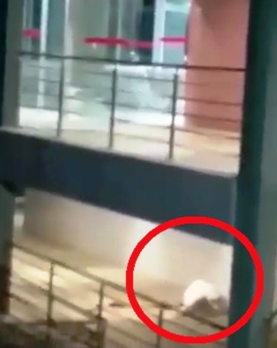 Vídeo: Andarilhos protagonizam namoro quente em Unidade de Saúde