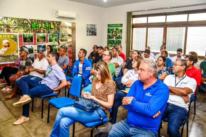 Cacau: Mudas de R$ 5 chegam a 32 produtores por R$ 1,60 em Linhares