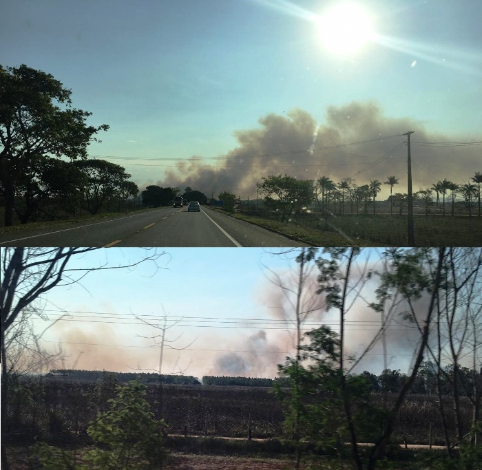 Incêndio de grande proporção em pasto ameaça floresta em Linhares