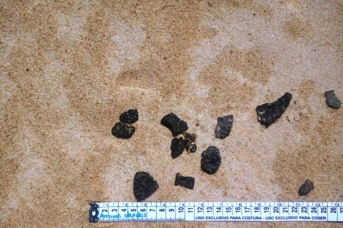 Manchas de óleo chegam ao Espírito Santo, afirma Marinha