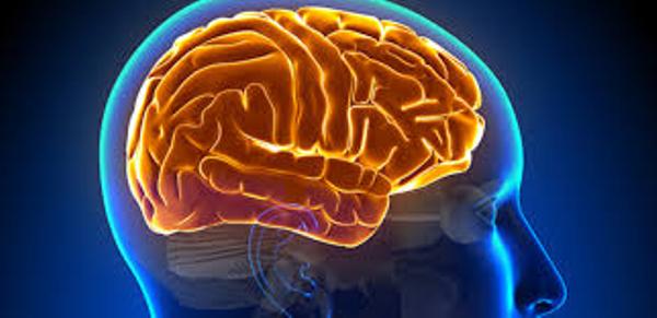 Paralisia cerebral: Lesão no cérebro pode começar ainda no ventre materno