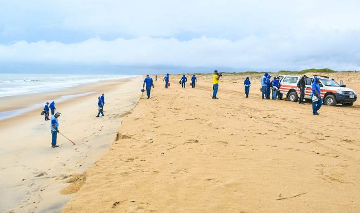Quase 300 kg de fragmento de óleo já foram recolhidos das praias de Linhares