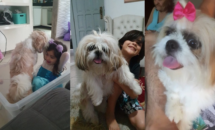 Pode ajudar? Irmãos de 9 e 4 anos choram de saudades da Jhuly 