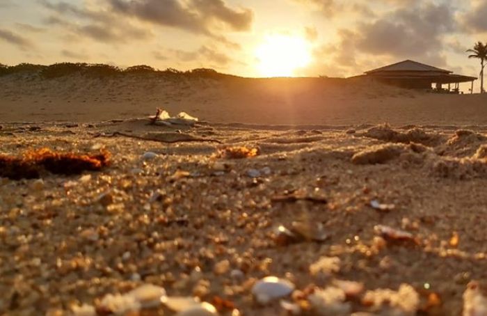 Afogamento na Praia de Pontal do Ipiranga. Corpo desapareceu no mar