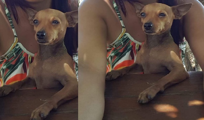 Recompensa para quem encontrar Fred, que fugiu no BNH. Garotinha é só tristeza