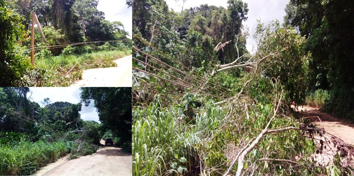 Árvore e poste caídos na Estrada de Povoação. Um perigo, diz leitor