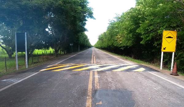 Linhares: Quebra-molas são implantados em rodovia estadual