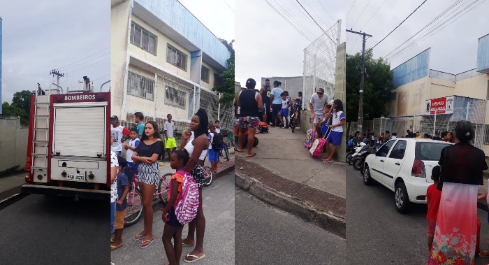 Abelhas adiam início das aulas em escola pública de Linhares