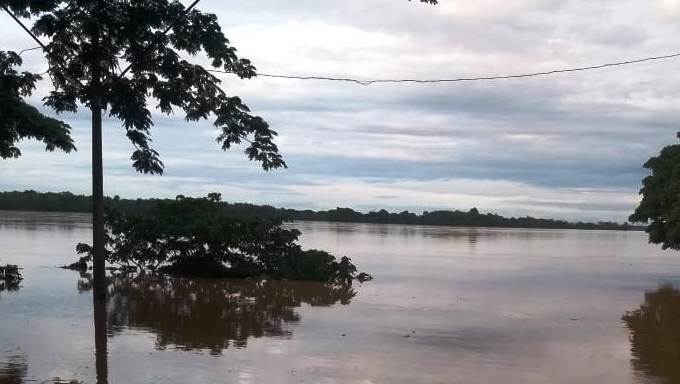 Reparação do Rio Doce: Ações vão ultrapassar R$ 12 bilhões em 2020, afirma Fundação Renova