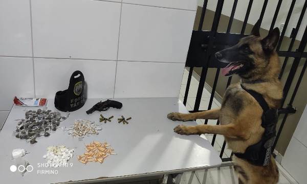 K9: PMs e cão Nill agem no Movelar, e resultado dá ruim pro tráfico de drogas