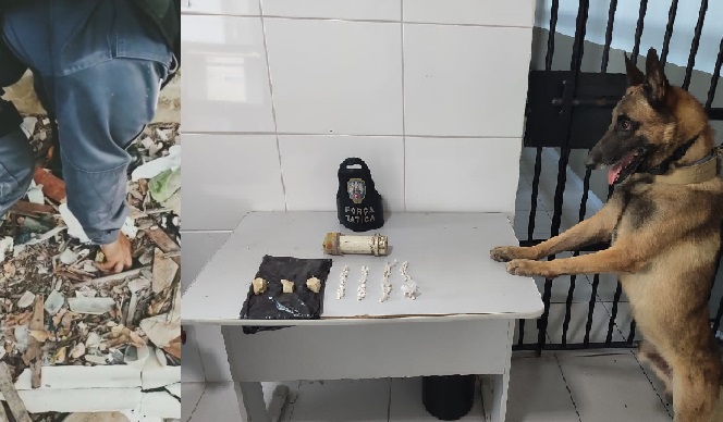 Cão Nill sinaliza, e Equipe K9 desenterra droga no Araçá