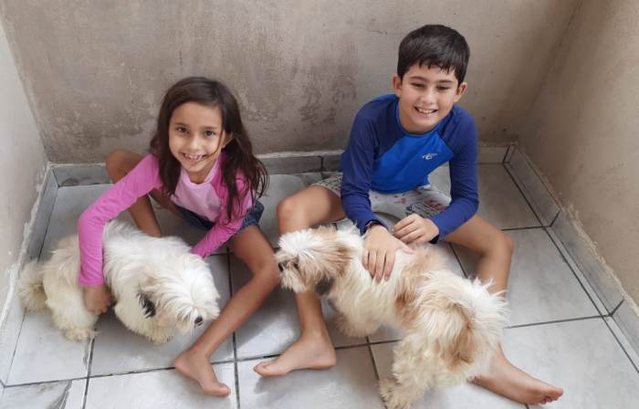 Olha a alegria deles! Pitucha e Pérola estão de volta ao lar
