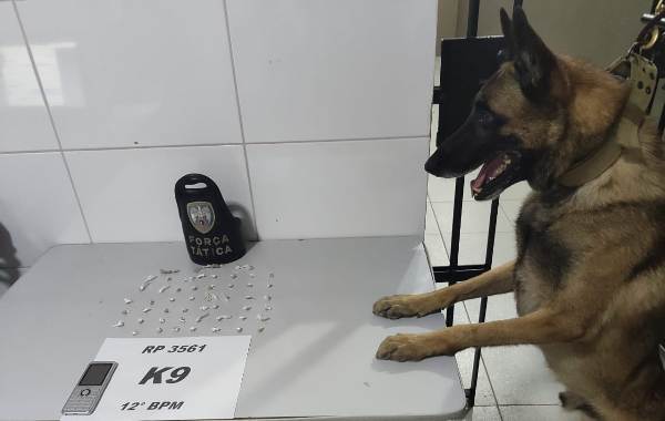 Equipe k9 encontra pedras de crack nos fundos da Unidade de Saúde do Araçá