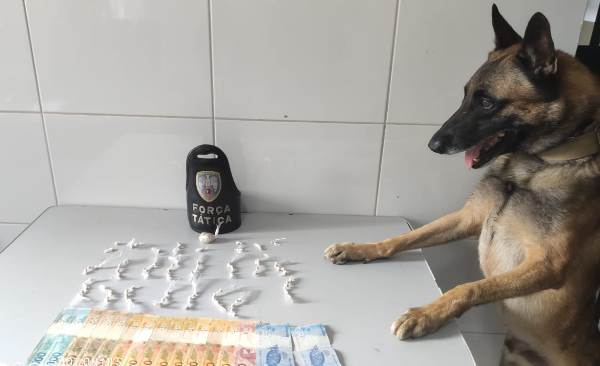 Equipe K9 aprende droga no Jocafe e leva dois para a delegacia
