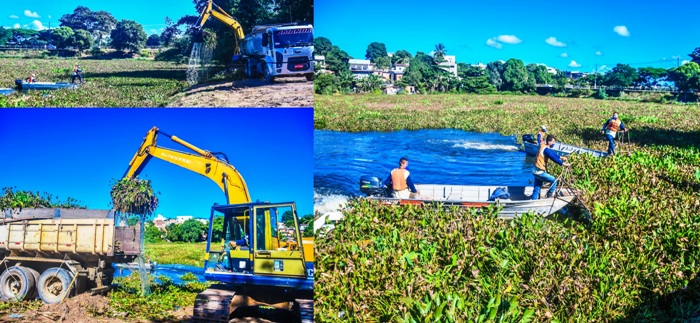 Mais notícias da Lagoa do Meio: PML remove plantas aquáticas