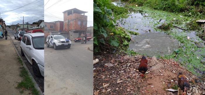 Notícia 2: Galinhas se alimentam ao lado de corpo encontrado na Lagoa do Interlagos