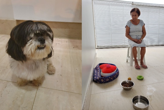 Recompensa para quem encontrar o Puff e tirar a tristeza dessa vovó