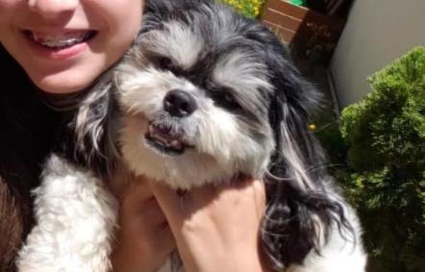 Três Barras: Olha aí quem apareceu