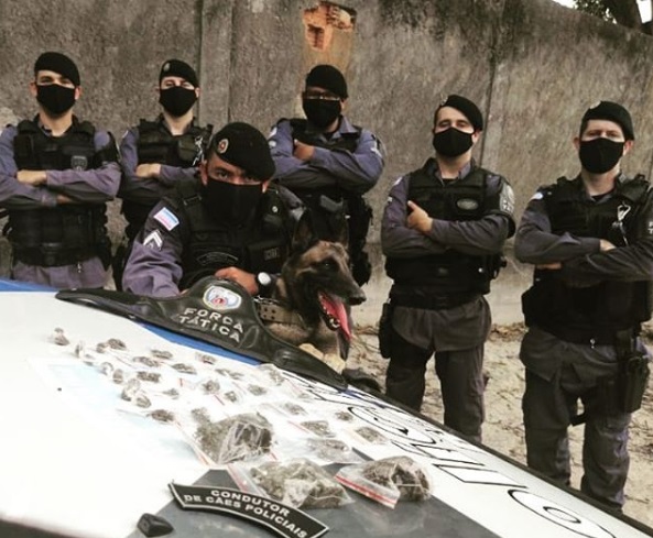 Equipe K9 da Força Tática apreende droga em Linhares