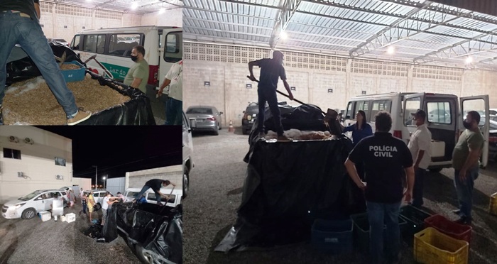 800kg de camarão apreendido são doados à instituições de caridade em Linhares
