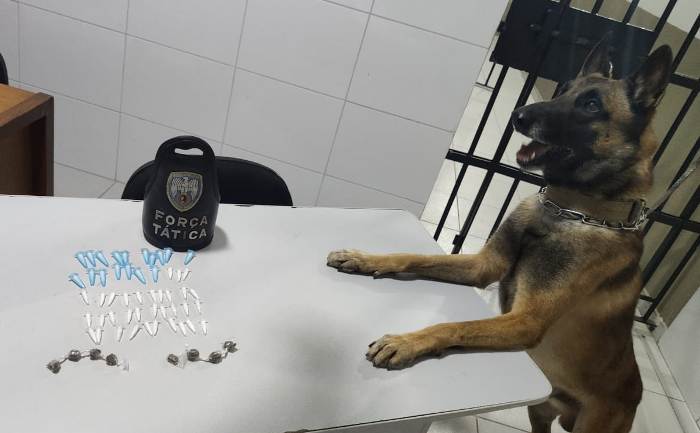 Cão Nill fareja droga até dentro de caixa de esgoto, em Linhares
