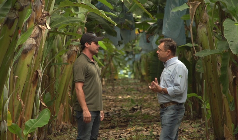 Chegada do inverno pode interferir na produtividade no campo