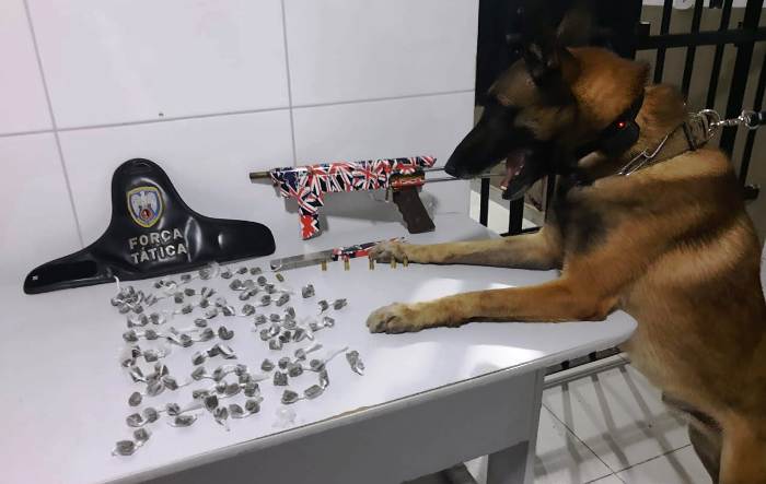 Cão Nill fareja submetralhadora e maconha enterrados no Santa Cruz