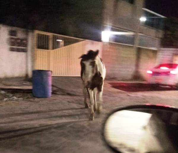Leitor do Aviso implora: Alguém resolva esse problema aqui