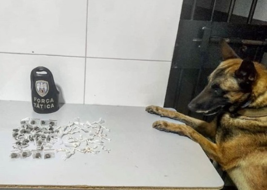 CDI: Cão Nill encontra droga escondida atrás de escola, no Araçá