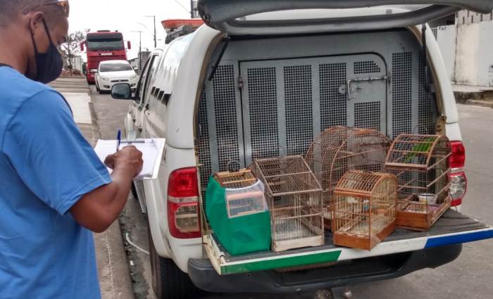 Fiscalização Ambiental apreende mais de 30 animais silvestres em cativeiro