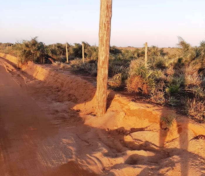 Cuidado: Poste é motivo de perigo em estrada de Regência