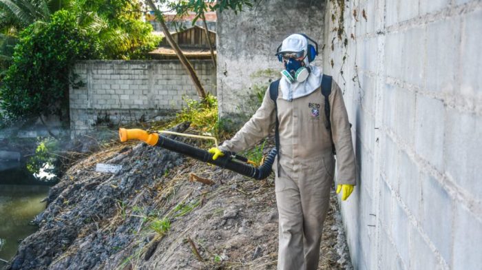 Dengue: Rastro do Aedes aegypti é mapeado em Linhares