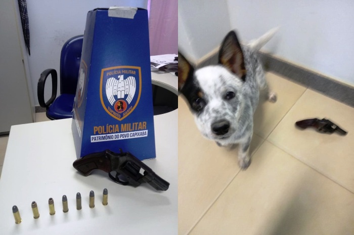 PM apreende arma de fogo e recupera Burriler furtado em Pinheiros