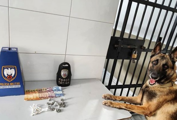 Nill fareja, e K9 da Força Tática apreende droga no Movelar