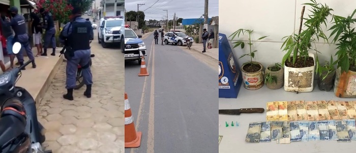 Pés de maconha apreendidos pela PM no Chapadão do 15