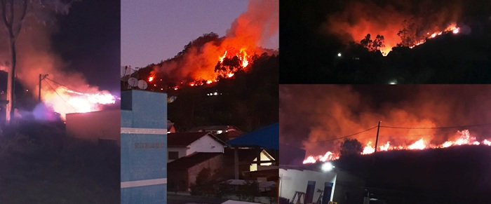 Fogo consome mata atlântica, ameaça residências e leva pânico em Santa Tereza