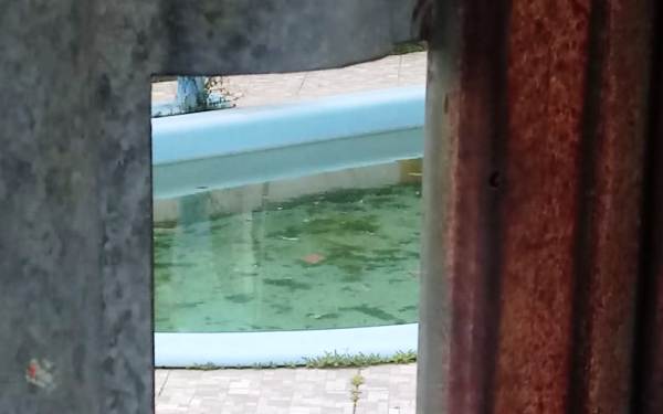 Dengue: Estamos com medo, diz leitora sobre piscina no bairro Boa Vista