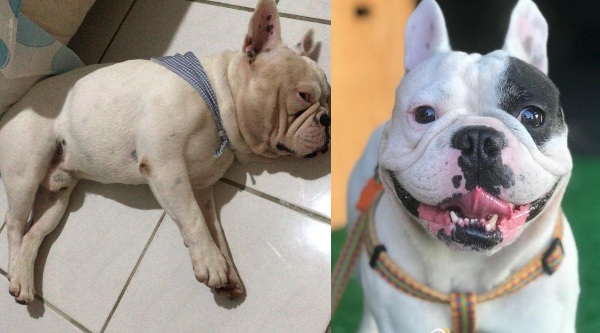 Leitora vê noticia e Marley e Grego já estão em casa