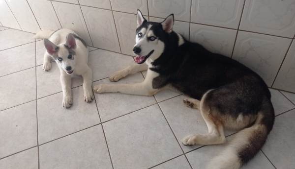 Rub e Beily: Alegria em dobro no Três Barras