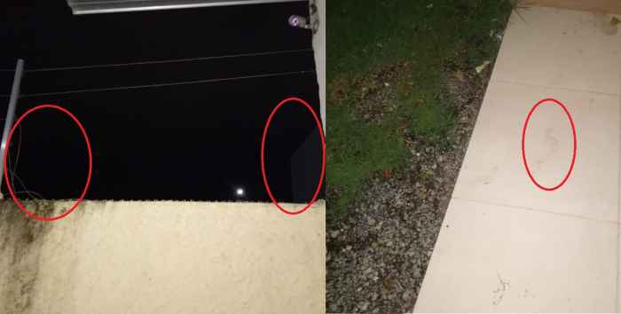 Ladrão pula muro para praticar furto, e diz que corria de matadores do Pó do Shell
