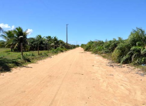 Monstruosidade: Cadela tem pata cortada e olho furado em Povoação