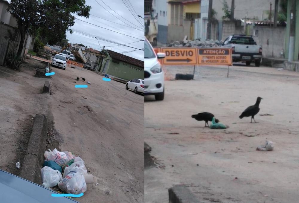 Urubus reviram lixo doméstico deixado para trás no bairro Aviso