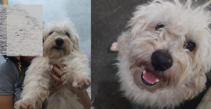 Recompensa para quem encontrar Chico que fugiu no Interlagos
