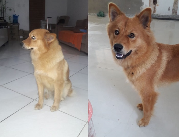Lagoa do Meio: Tem recompensa para quem encontrar a Amora