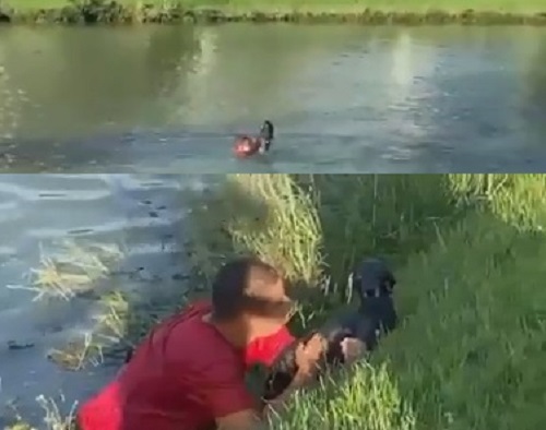 Vídeo: Homem pula na Lagoa do Meio e salva cachorro em Linhares