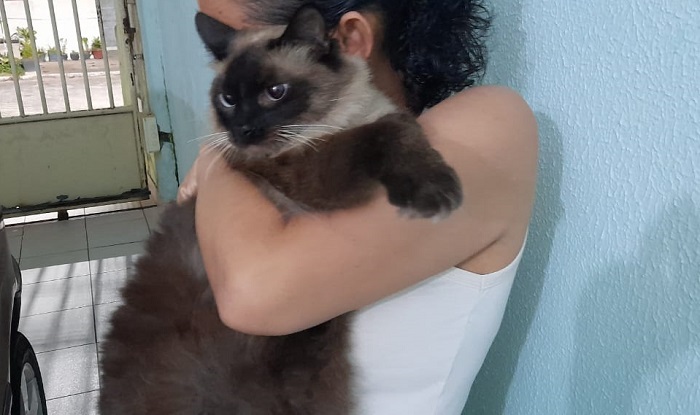 Olha o Miguel aí, pessoal! Agora é só alegria na casa