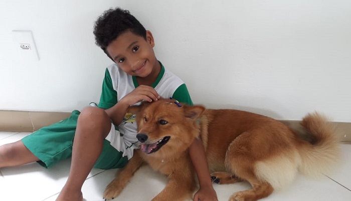 Tem recompensa: Me ajude a encontrar a Amora, pede garotinho